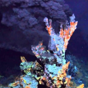 Создана новая форма жизни