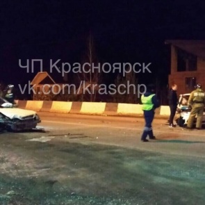 «Шла по переходу»: корова стала причиной серьёзной аварии ночью на трассе