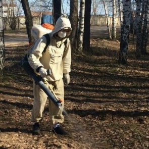 Около 50 гектаров Ачинска будет обработано от клещей