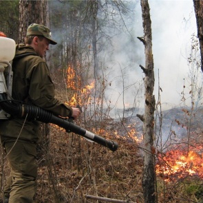 Заповедник «Столбы» могут закрыть для туристов