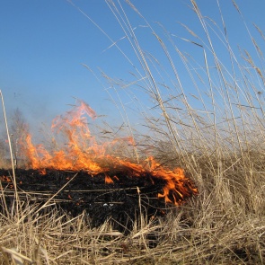 Сотрудники полиции напоминают о соблюдении требований пожарной безопасности