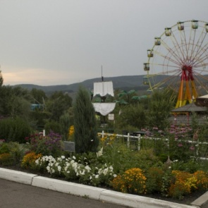 В зоопарке "Роев ручей" чистят пруды и находят тушки подброшенных красноярцами черепах