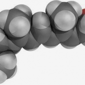 Найдено средство против неизлечимого рака