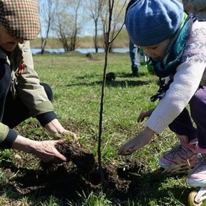 "Посади дерево". "День Чулыма": в юбилейном Ачинске пора весеннего благоустройства