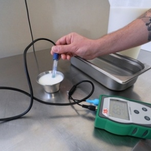 Роспотребнадзор назвал процент фальсификата в молочной продукции