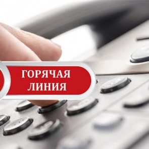 Кадастровая палата проведет горячую линию