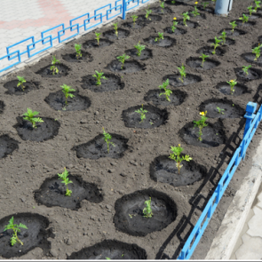 Ачинские предприниматели облагораживают город к юбилею