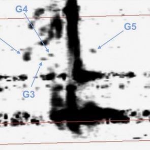 Обнаружены загадочные объекты вблизи ядра Млечного Пути