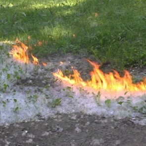 На химкомбинате «Енисей» из-за тополиного пуха вспыхнул пожар