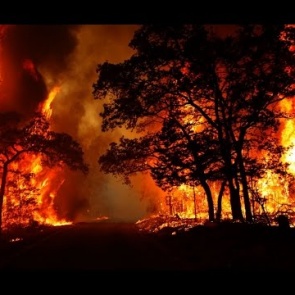 Сотрудники полиции проводят встречи с населением по профилактике лесных пожаров