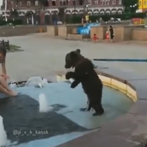 В Канске медвежонок искупался в городском фонтане