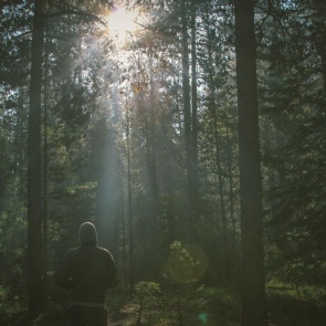 На севере Красноярского края после охоты исчезли трое мужчин: следователи начали проверку