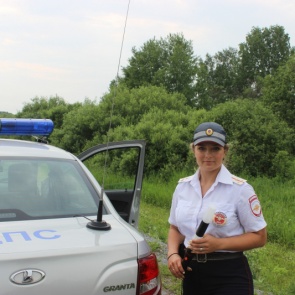 Сегодня свой профессиональный праздник отмечают сотрудники Госавтоинспекции