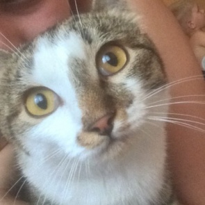 ПОМОГИТЕ НАЙТИ!