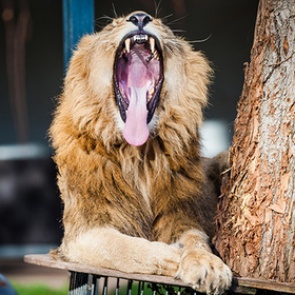 Названа новая опасность недостаточного сна