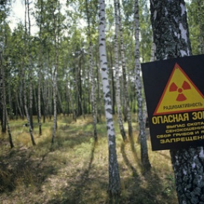 Хакеры заподозрили Киев в планах отравить реку в Донбассе