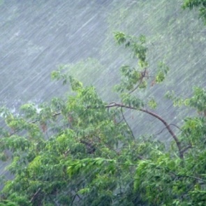 МЧС предупреждает о проливных дождях и шквальном ветре