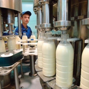 На Копьевском молокозаводе ввели процедуру наблюдения в Хакасии