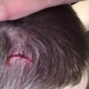 Noize MC разбил голову фанату на концерте и раскритиковал его за жалобы