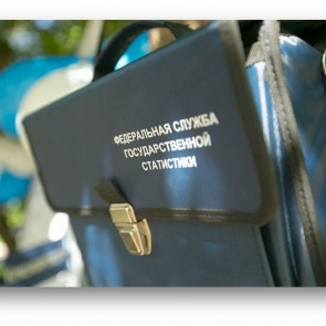 Жителей Красноярского края просят поучаствовать в самой необычной и масштабной переписи населения