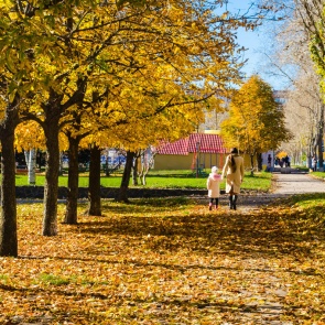 Центр мониторинга загрязнения окружающей среды: за период с 24 по 30 сентября в атмосфере Ачинска не зафиксировано превышение ПДК загрязняющих веществ