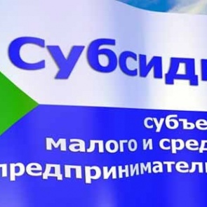 В Назарово бизнесмен обманул мэрию и незаконно получил субсидию