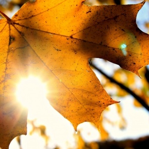 Погода в Красноярском крае и Хакасии тёплая и комфортная