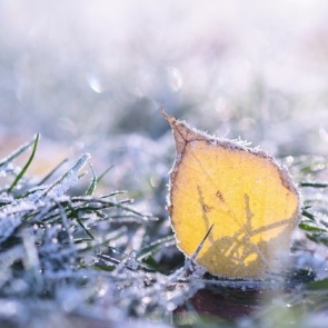 В Ачинске и Ачинском районе этой ночью будет морозно и туманно