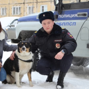 ЧП со счастливым финалом: в Норильске спасли тонущую собаку и нашли ей новый дом