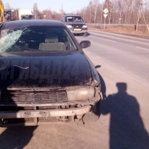 В Козульском районе задержали сбежавшего от испуга виновника смертельного ДТП