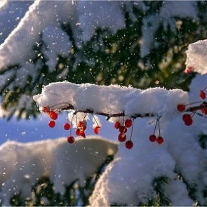 Короткая рабочая неделя в Красноярском крае и Хакасии тёплая и снежная