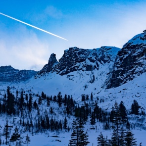 На юге Красноярского края браконьеры запустили тушей убитой косули в преследовавших их инспекторов