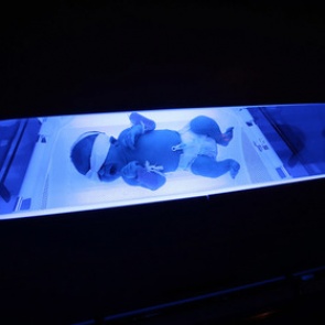 Смертность младенцев назвали рекордно низкой через три месяца после ее роста