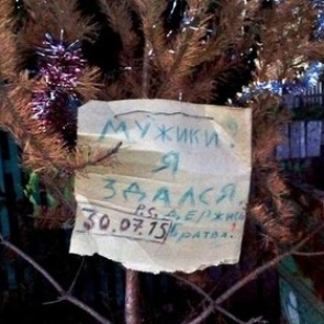 Названо число готовых продержать елку до лета россиян