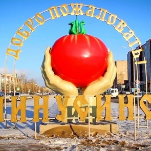 В третьем городе Красноярского края в предновогодние дни ввели режим «чёрного неба»