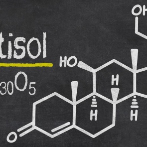 Диета, которая позволяет убрать лишний жир на животе и нормализовать гормоны