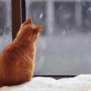 Роструд напомнил о следующих длинных выходных