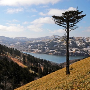 Россия отказалась отдавать Курилы