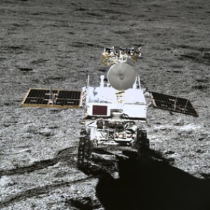 Первое в истории растение на Луне умерло