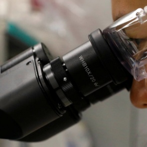 В Антарктиде нашли загадочные мертвые организмы