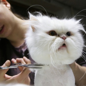 Названы самые необычные вакансии для россиян