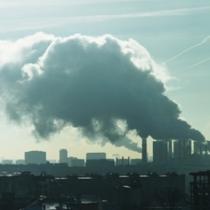 Названы главные экологические проблемы России