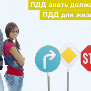 Школьников края массово проверили на знание ПДД и похвалили за результат