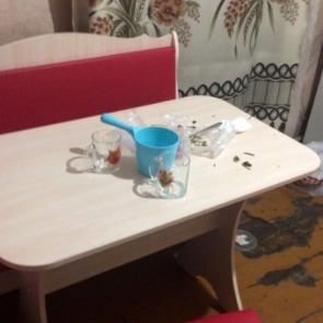 В Абакане горе-мамаша морила детей голодом