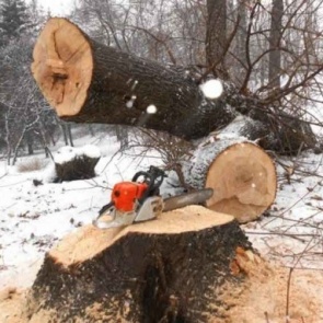 В Туруханском районе отец-дровосек проломил сыну череп