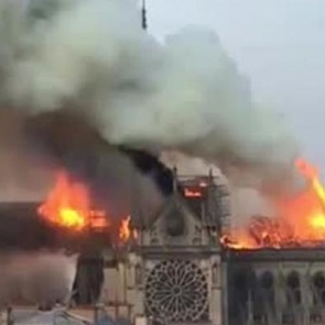 Пожар внутри собора Парижской Богоматери сняли на видео