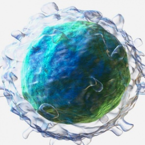 Раскрыта главная причина старения