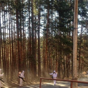 Клещи стали активнее: за неделю покусали 57 жителей Красноярского края