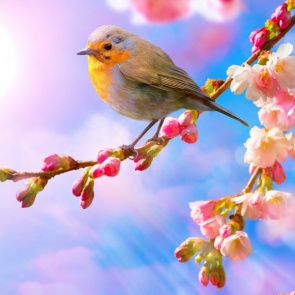 Последняя рабочая неделя апреля в Красноярском крае и Хакасии по-летнему жаркая