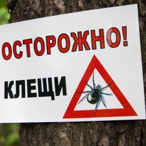 Осторожно, клещи! Неблагоприятные погодные условия отодвигают сроки противоклещевой спецобработки